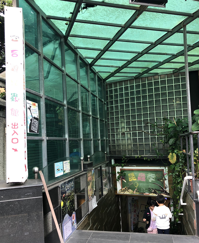 台灣昆蟲館1